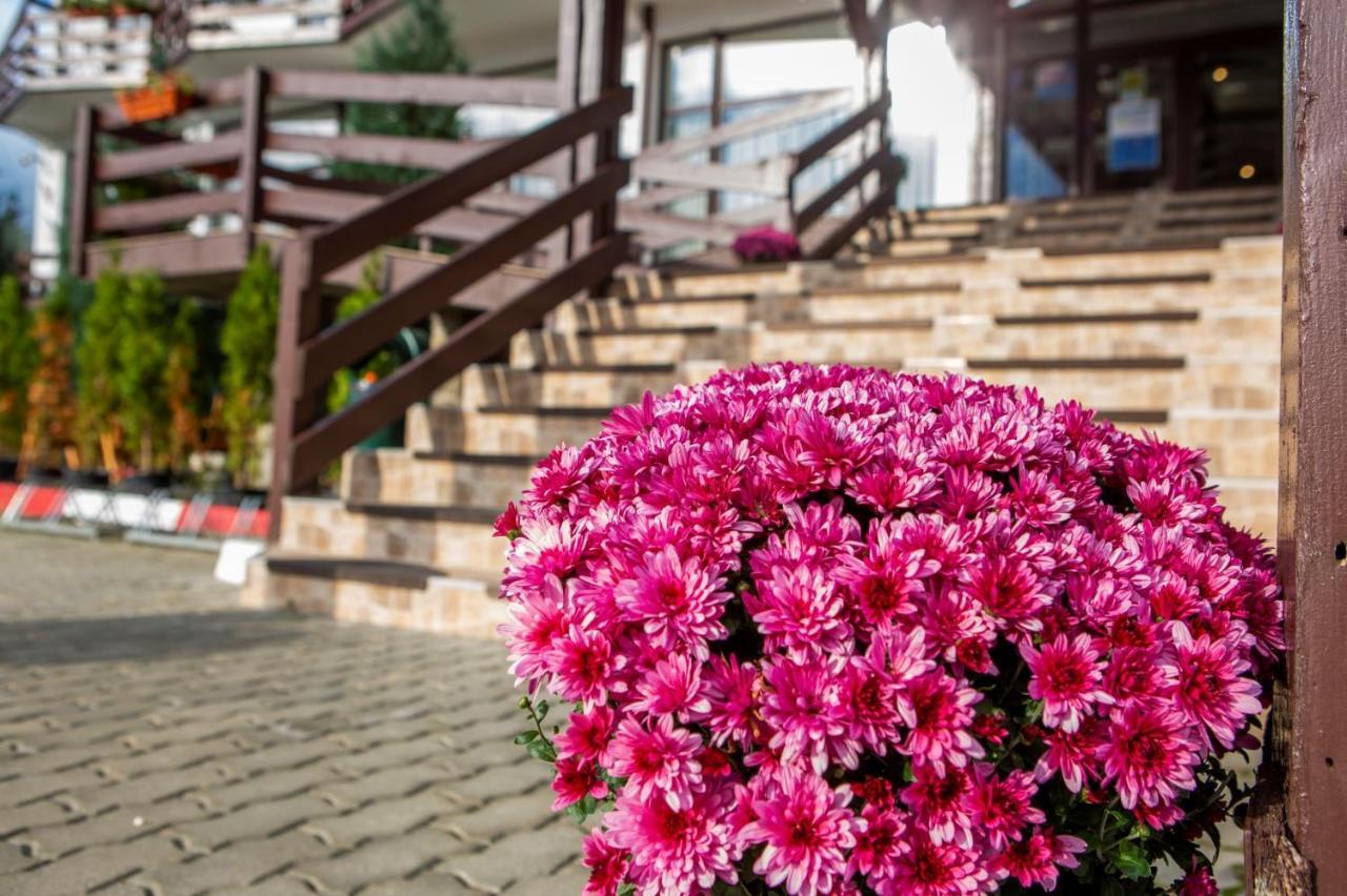 Hotel La Dolce Vita Zărneşti المظهر الخارجي الصورة